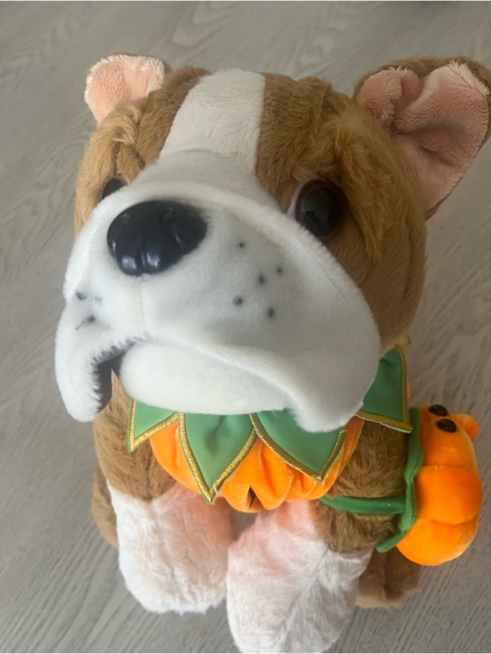 Teddy Mountain 16”‎ Plush Bull Dog w/Pumpkin Costume~DIY Birthday Craft